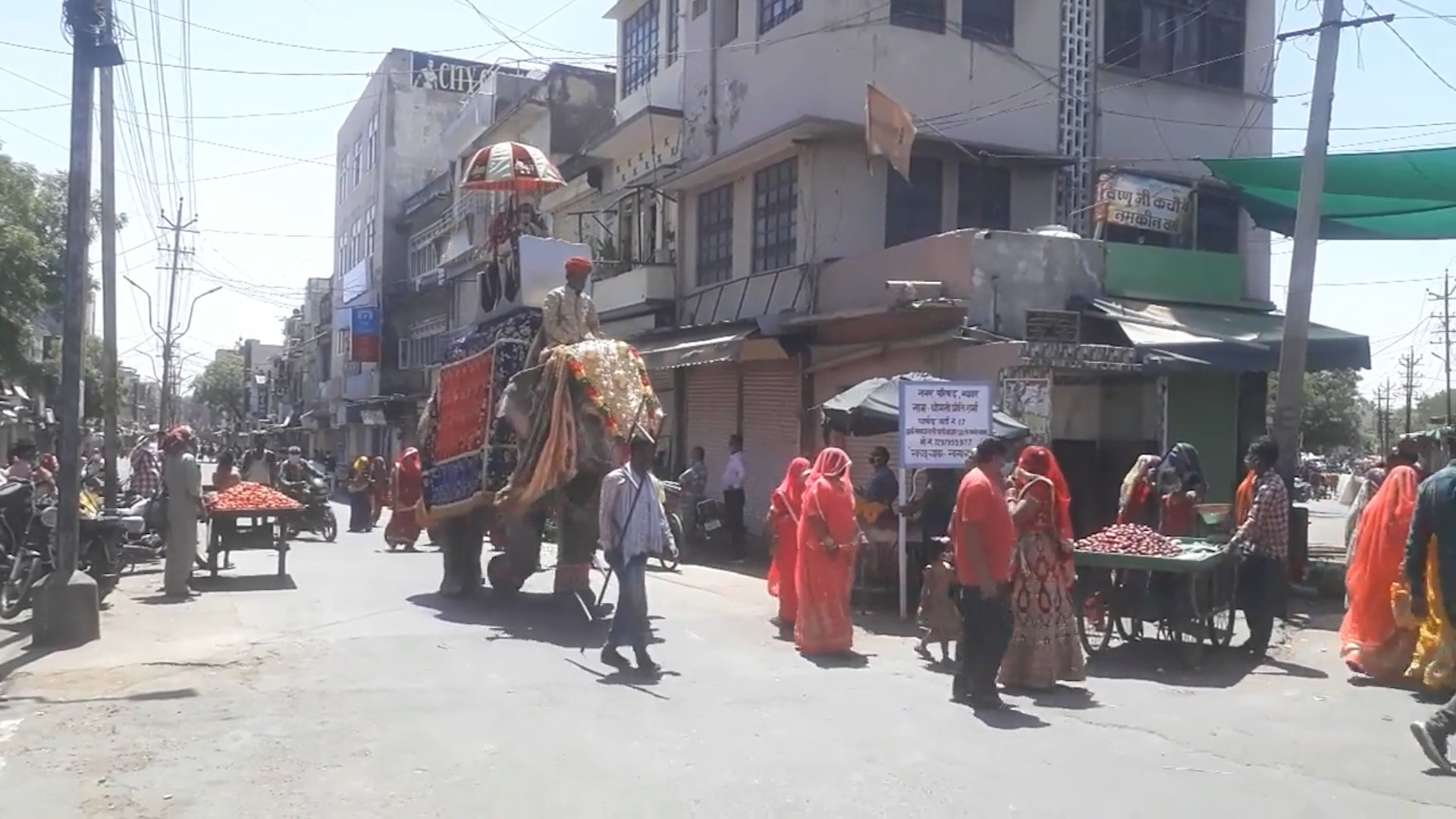 Bất chấp dịch bệnh, chú rể Ấn Độ vẫn cưỡi voi đi đón dâu - Ảnh 1