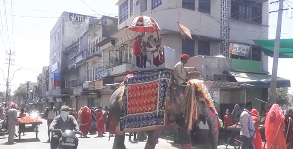 Bất chấp dịch bệnh, chú rể Ấn Độ vẫn cưỡi voi đi đón dâu - Ảnh 2